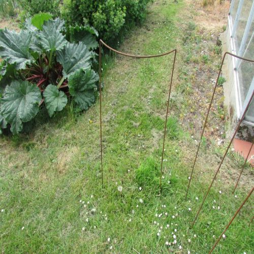 Made from Solid 6mm Metal, 3 x "Bow-Type"  Garden Plant Supports 