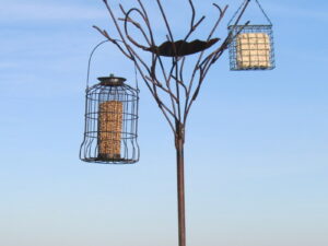 Garden Sculptures